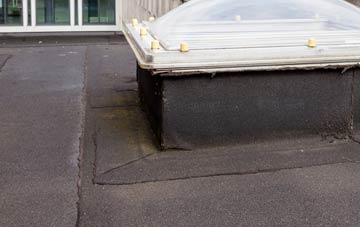 disadvantages of Luggate Burn flat roofs