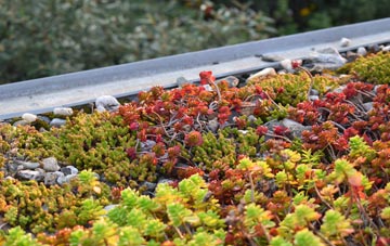 the cost of Luggate Burn green roof installation