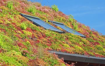 Luggate Burn living roof systems