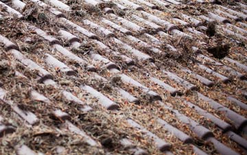 Luggate Burn roof cleaning companies